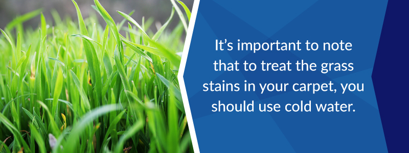 To treat grass stains in your carpet you should use cold water.