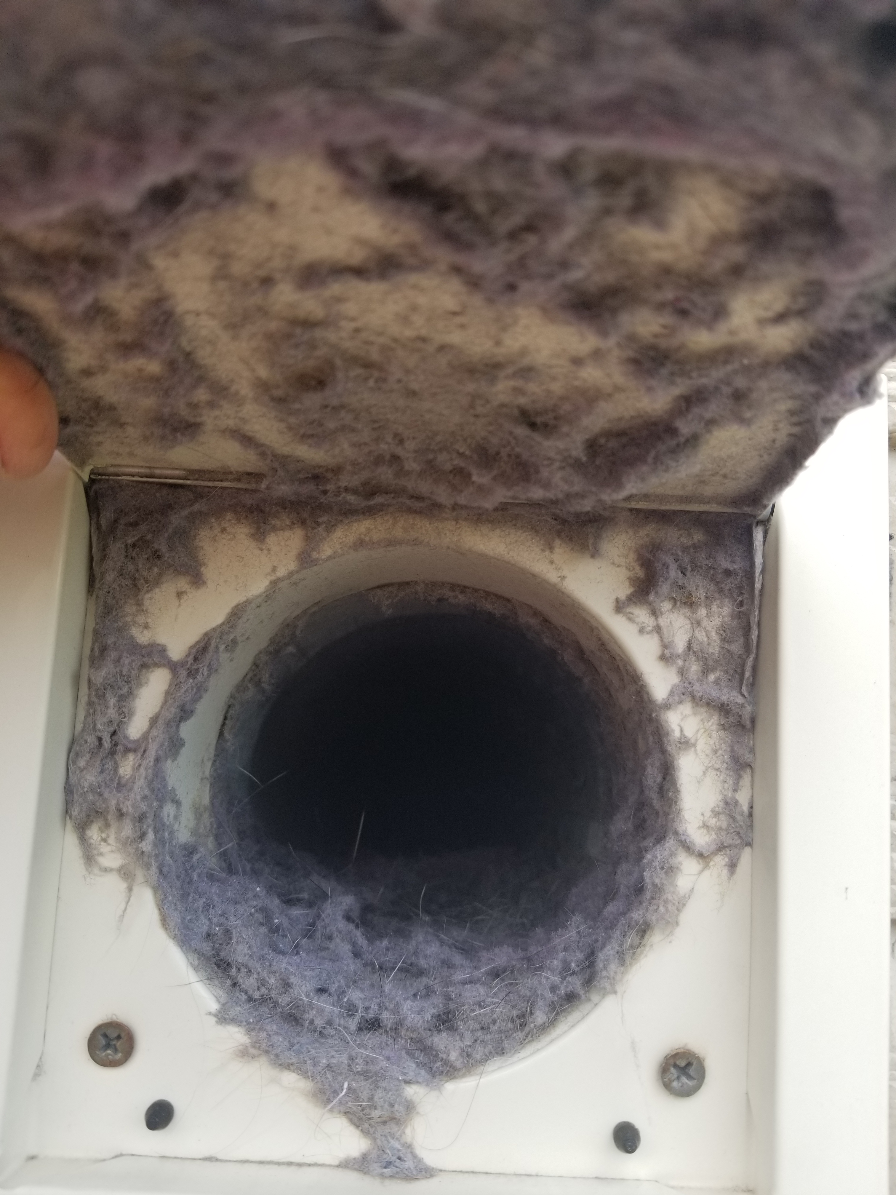 A photo before we cleaned the dryer vent