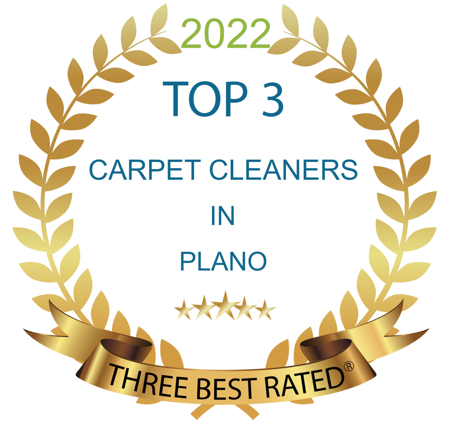 Cyclone Professional Cleaners Plano Texas Cleaning Services