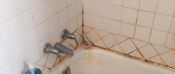mold in shower grout